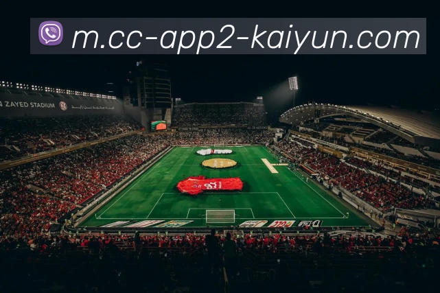 开云体育APP 封面图